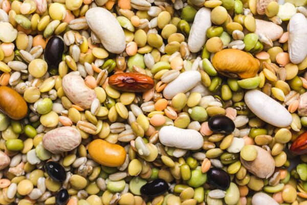 Fruit Seeds
