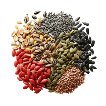 Vegetable Seeds