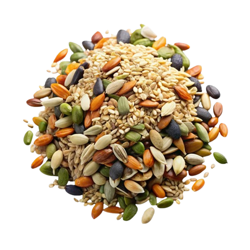 Fruit Seeds