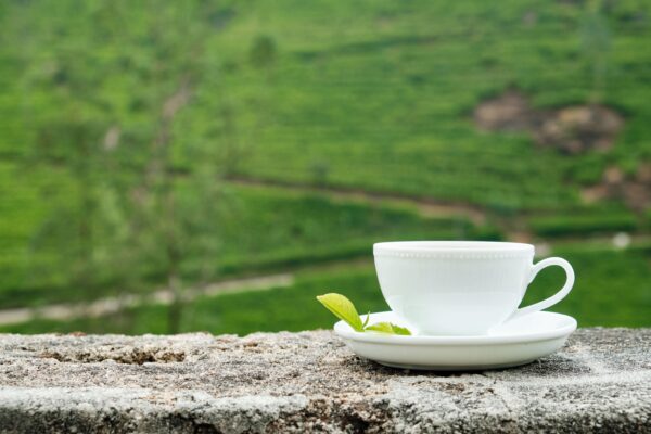 Tea/Coffee & Green Tea
