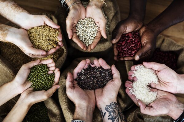 Vegetables Seeds
