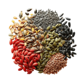 Vegetable Seeds